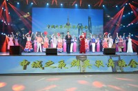 璀璨辉煌 520 ,“申城之夜”群英歌舞晚会精彩上演