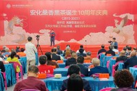 安化桑香黑茶十载奋进｜云天阁两款黑茶新品开启产业新篇