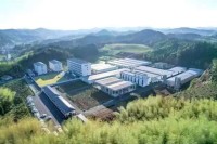 北纬28°的珍稀馈赠 金叶油业山茶油｜来自安化深山的健康瑰宝