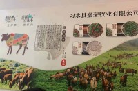 上海好人杨泽携黔北麻羊助力贵州遵义脱贫攻坚